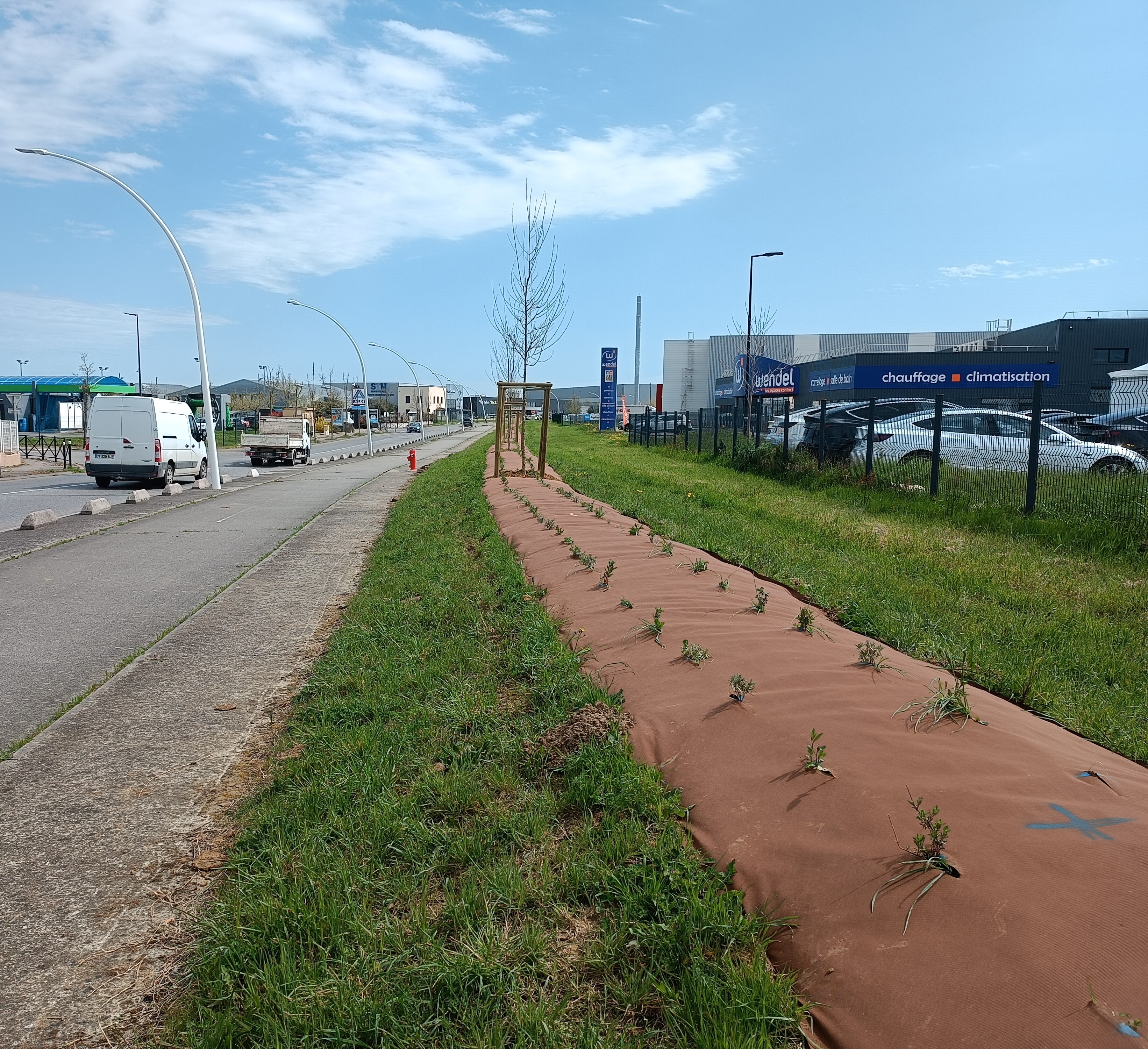 Végétalisation de la ZAE de la Ménude, réintroduire la nature dans un secteur peu végétalisé