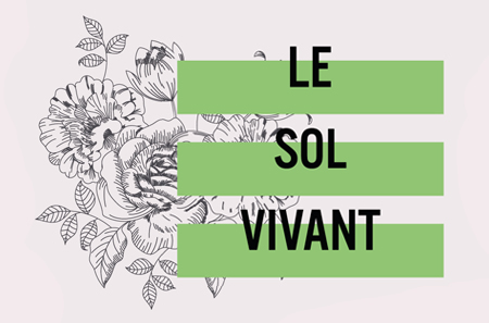 L'atelier n°4 : la découverte du sol