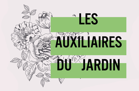 L'atelier n°5 : les auxiliaires du jardin