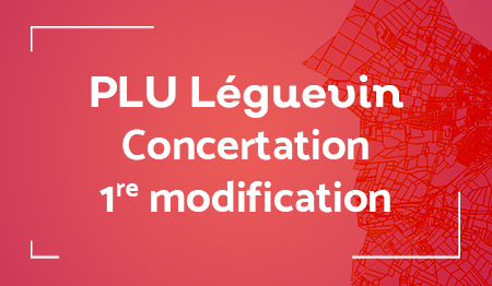 1e modification