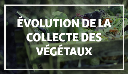 Évolution de la collecte des végétaux