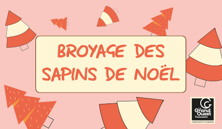 Donnez une seconde vie à vos sapins de Noël 
