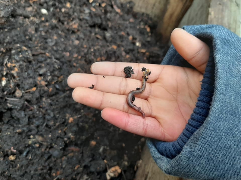 Tous au compost !